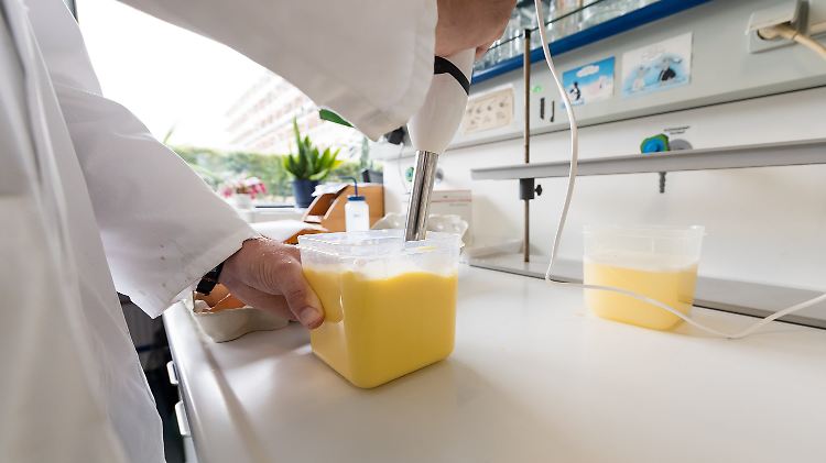 Obwohl die Mitarbeiter unter Hochdruck arbeiten, ist die Atmosphäre im Labor ruhig.