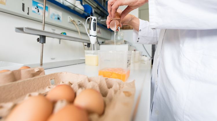 Unzählige Eier werden auf das giftige Fipronil getestet.