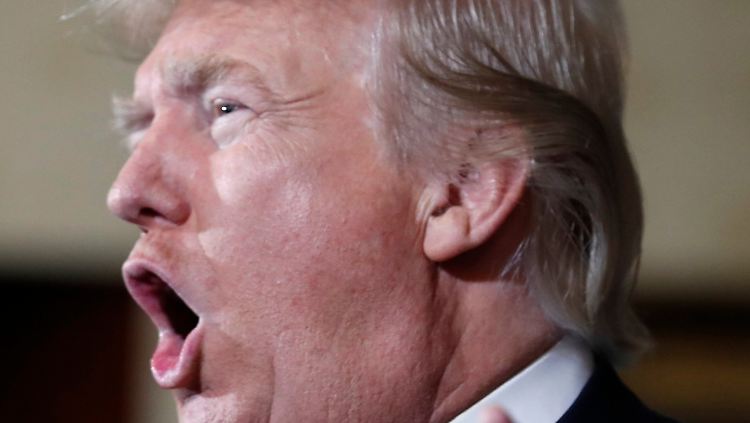 Eine Erfindung der Chinesen hatte Trump den Klimawandel einmal genannt.