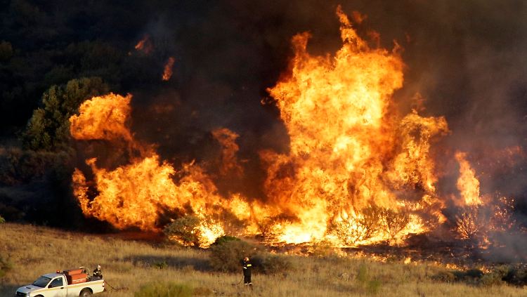 Ein Buschfeuer in Kalyvia einige Kilometer von Athen entfernt ist kaum unter Kontrolle zu bekommen.