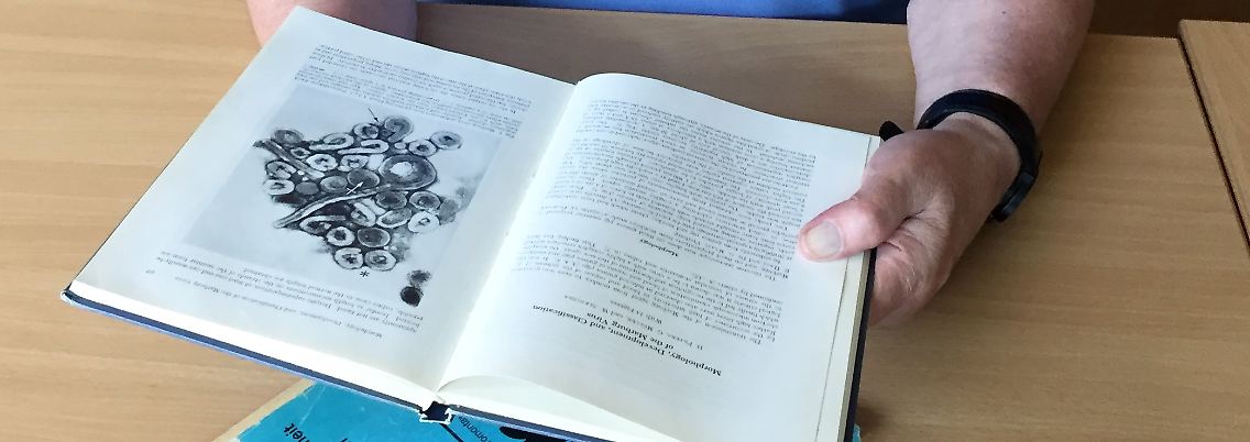 Werner Slenczka indentifizierte 1967 als damaliger Forschungsassistent das gefährliche Marburg-Virus.
