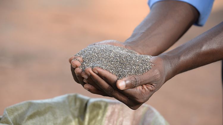 Chia-Samen sind reich an Antioxidantien, Proteinen, Ballaststoffen, Vitaminen und Mineralstoffen.