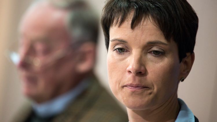 Gaulands Verhältnis zur Parteivorsitzenden Frauke Petry ist derzeit angespannt.