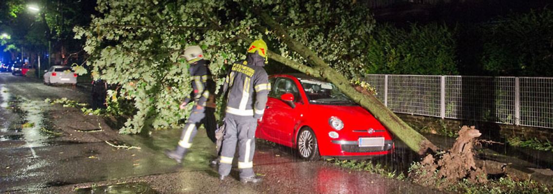 Die Feuerwehr musste sich vielfach um umgestürzte Bäume kümmern, hier in Baden bei Wien.