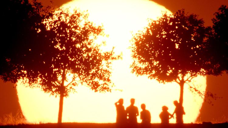 Das vergangene Jahr war US-Klimaforschern zufolge das wärmste seit Beginn der Aufzeichnungen vor 137 Jahren.
