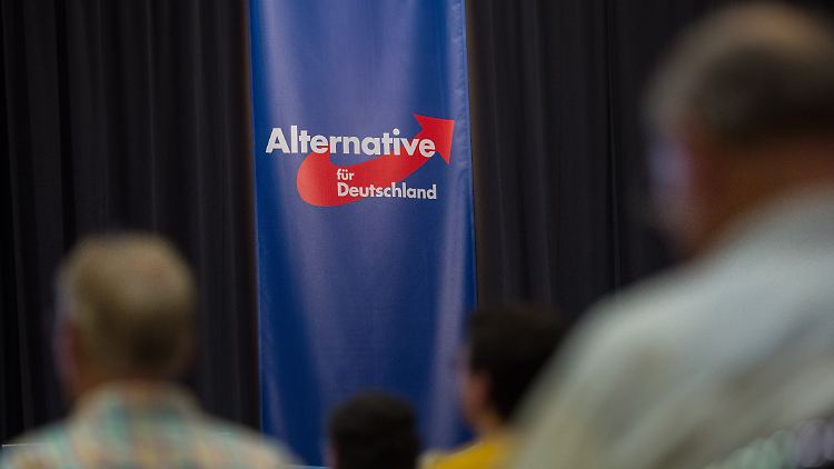 Mehrere AfD-Landtagsabgeordnete sollen an den Wahlbeobachtungen teilgenommen haben.