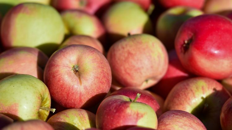 Der späte Frost verdirbt vielen Apfelbauern die Ernte.