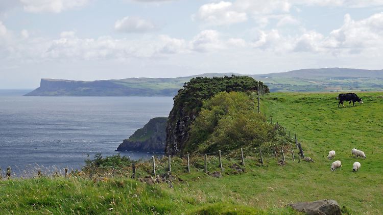 Die Küste an der Causeway Coastal Route ist eindrucksvoll und lockt jedes Jahr Tausende Urlauber an.
