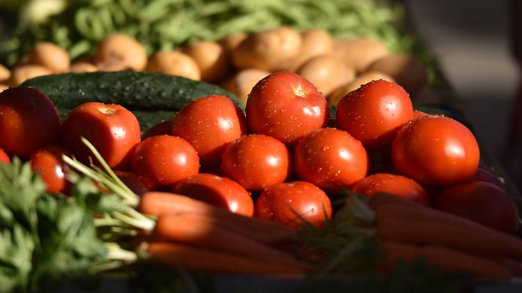 Leckerer Anblick: Gemüse-Stillleben mit Tomaten.
