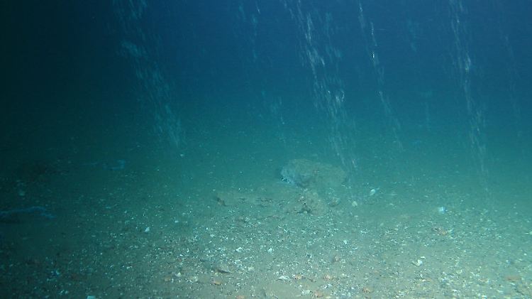 Gut sichtbar steigen die Gasbläschen an einem inaktiven Bohrloch nach oben.