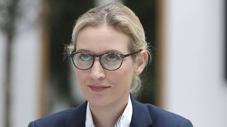 "Angela Merkel müsste nach ihrer Amtszeit vor ein ordentliches Gericht gestellt werden": Alice Weidel.