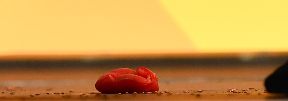 Das Corpus delicti