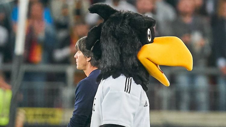 Was hecken sie aus? Bundestrainer Joachim Löw und Maskottchen Paule.
