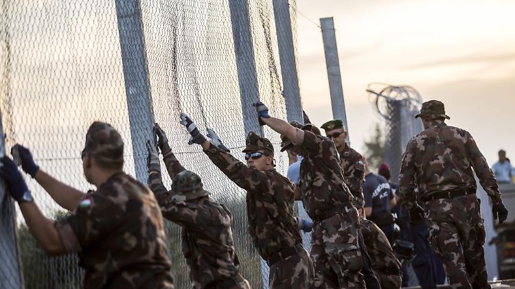 Ungarische Soldaten errichten an der EU-Außengrenze zu Serbien einen Zaun.
