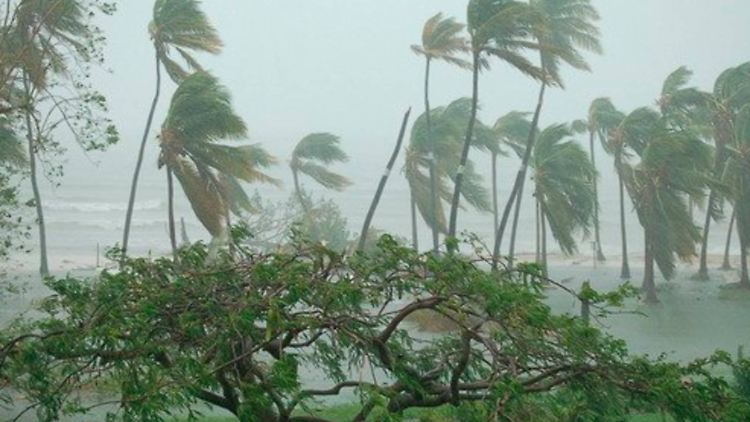 Ein Bild aus Haiti.