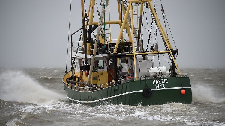 Ein Fischkutter in der Nordsee. Der Kabeljau verträgt das wärmere Wasser nicht gut.