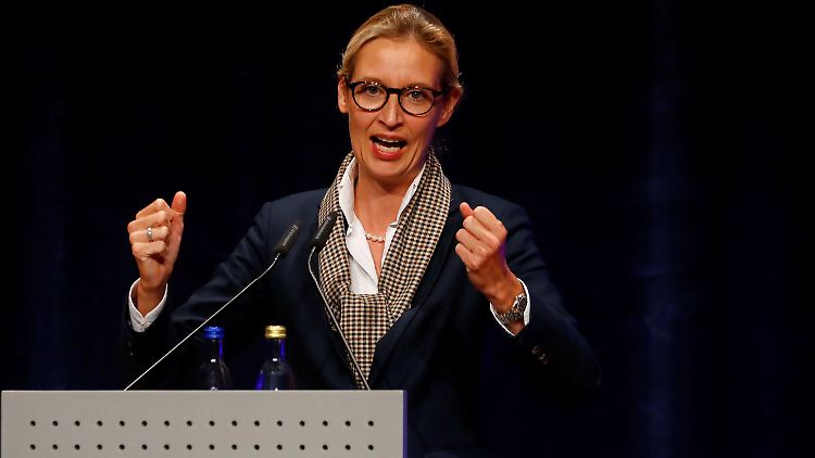 Alice Weidel - hier bei einer Wahlkampfveranstaltung in Pforzheim.