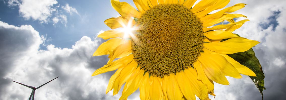 Der Spätsommer ist noch nicht ganz vorüber - vor allem im Osten wird es nochmal freundlich.