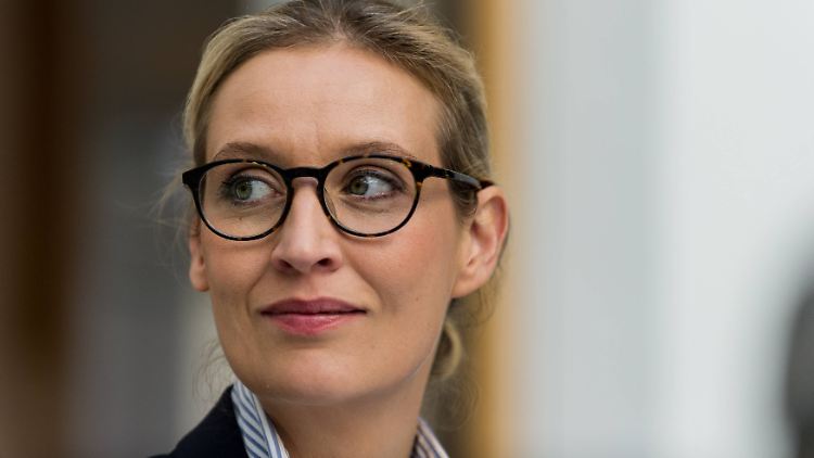Nimbus der gemäßigten Wirtschaftsliberalen: Alice Weidel