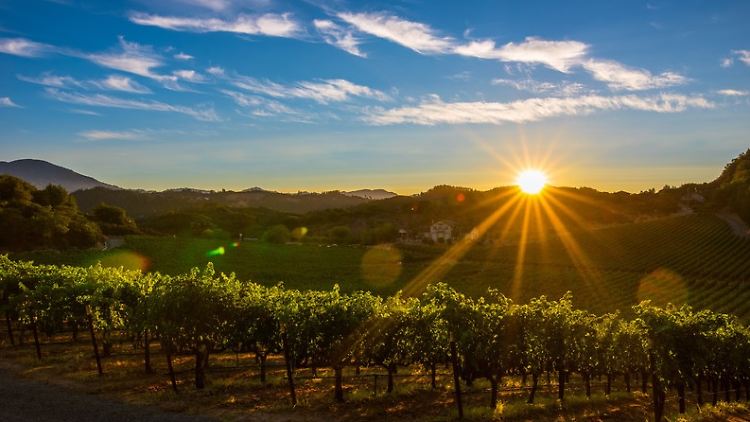 Das Napa Valley begeistert Genussmenschen.