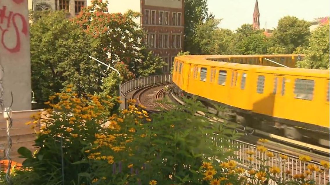 garten ratgeber.JPG