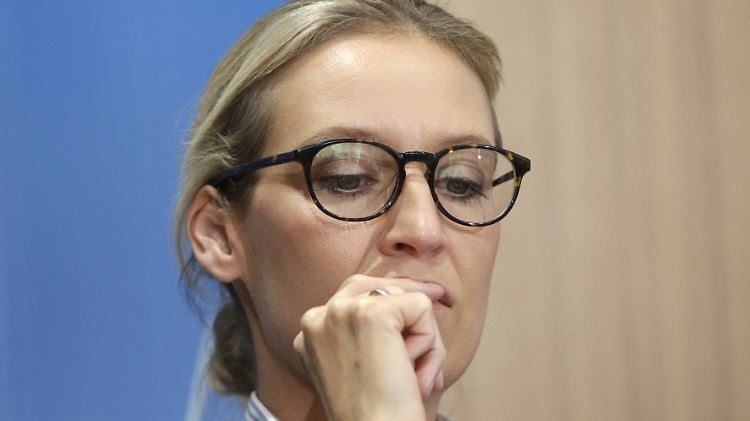 Schwere Vorwürfe gegen Alice Weidel: Sie soll eine Syrerin am Staat vorbei beschäftigt haben. 