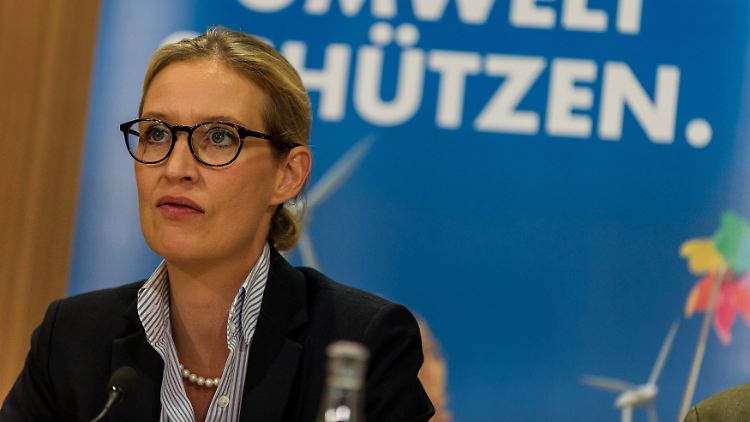 Alice Weidel hat sich persönlich bisher nicht zu den Vorwürfen geäußert. 