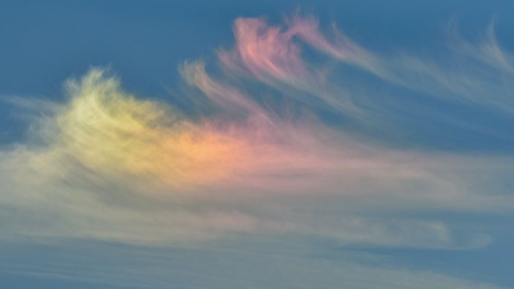 Oracles Cloud-Segment liefert schöne Zahlen - aber unsichere Aussichten.