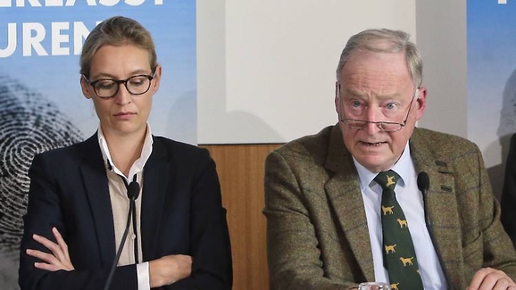 Alice Weidel und Alexander Gauland bei ihrer Pressekonferenz in Berlin.