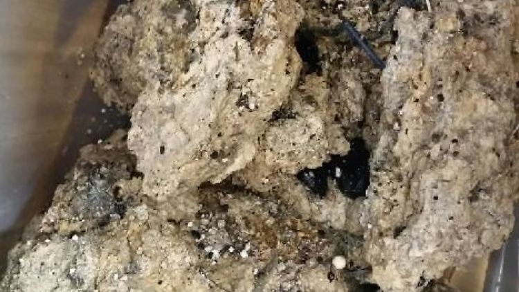 Der gigantische "Pfropfen" muss Stück für Stück abgetragen werden.
