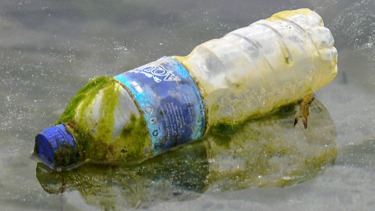 Philippinische Fischer hätten mehr Plastik als Fisch in ihren Netzen, berichten Umweltschützer.