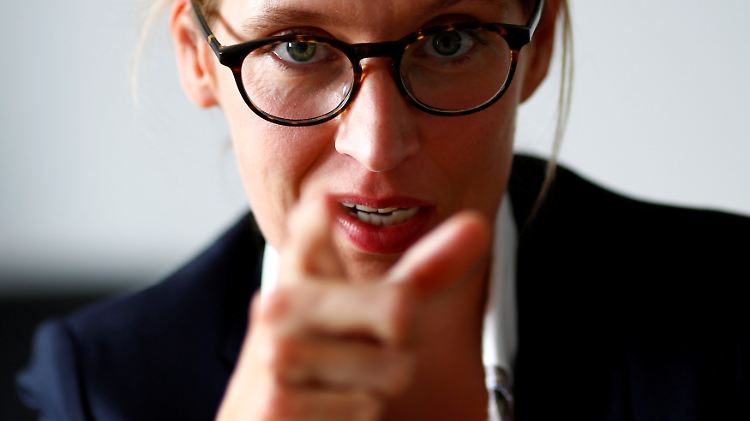 Spitzenkandidatin Alice Weidel wurde anfangs als gemäßigter, liberaler Akteur wahrgenommen. Das Bild hat sich gewandelt.