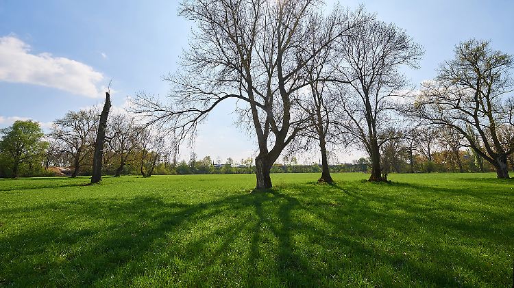 Der Überfall in der Bonner Siegaue sorgte für Aufsehen.