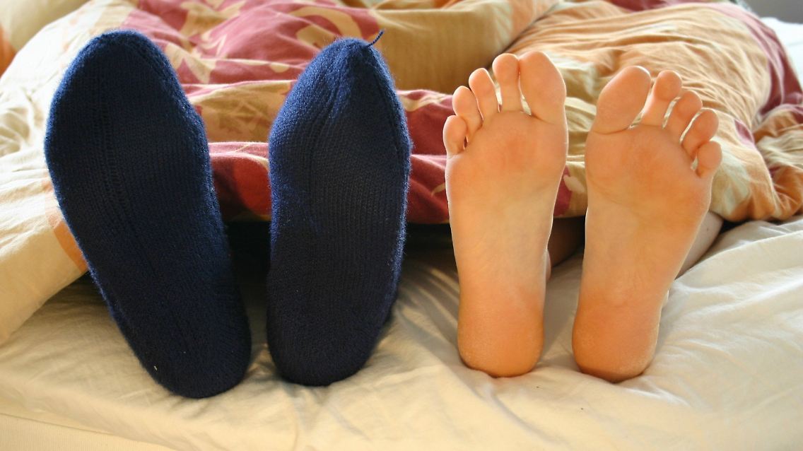 7971736.jpg