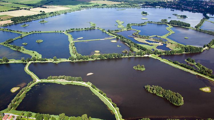 "Land der tausend Teiche": Blick aus einem Leichtflugzeug auf die markanten Peitzer Fischteiche.