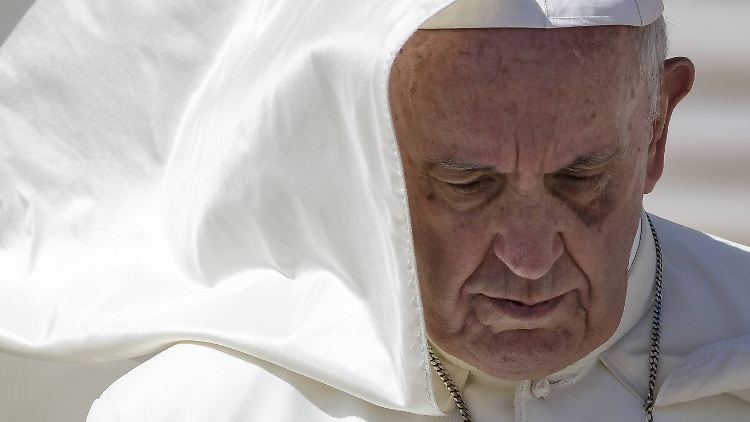 Papst Franziskus wird für seinen Kurs angefeindet - hochrangige Theologen sind allerdings nicht darunter.
