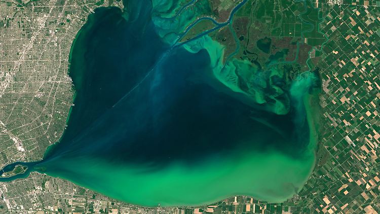 Lake St. Clair in Nordamerika: Wenn große Seen warm werden, hat das andere Auswirkungen aufs Phytoplankton als bislang angenommen.