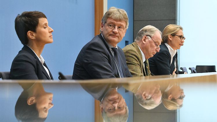 "Da waren's nur noch drei" - den Spruch mit den Negerlein wollte sich Meuthen eigentlich verkneifen. Aber die Mikros liefen noch.