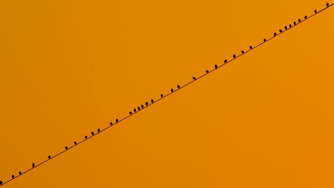 52014242.jpg