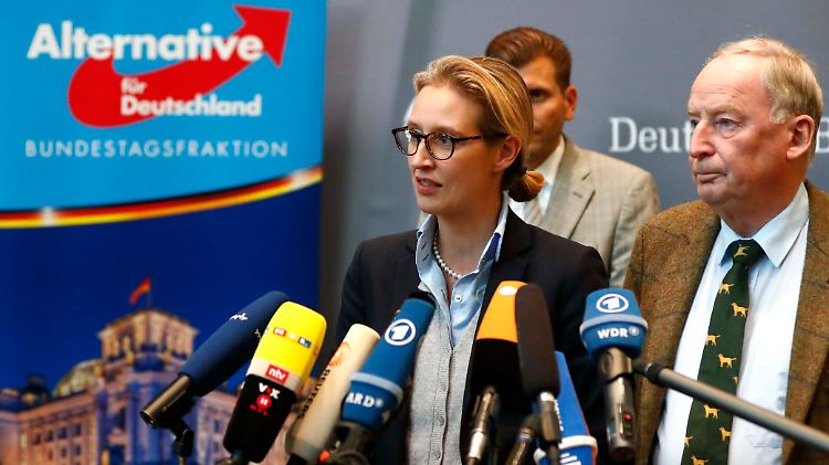 "Problem gelöst": Ohne ihre Widersacherin Frauke Petry lassen sich Alice Weidel und Alexander Gauland zur Fraktionsspitze der AfD wählen. 
