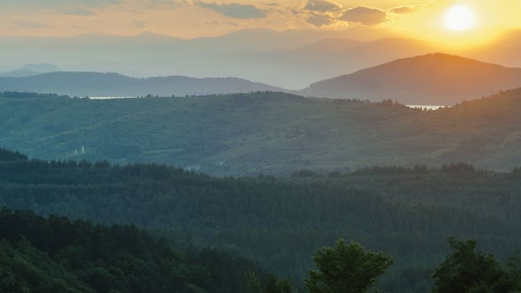 Schäferhunde, Wölfe und Schakale kommen im bulgarisch-griechischen Grenzland bei Rodopi vor.