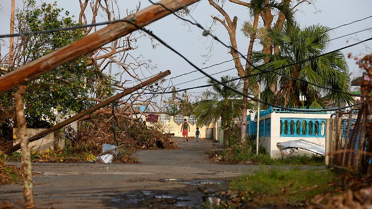 Umgestürzte Strommasten: Die Energieversorgung auf Puerto Rico ist weitgehend zusammengebrochen.