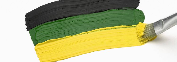 Thema: Jamaika-Koalition
