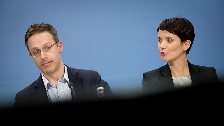 Behalten Petry und Pretzell ihre Mandate nur für das Geld? Nein, dahinter steckt mehr.