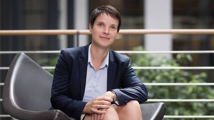 Für Petry war die "Causa Gedeon" ein Wendepunkt.