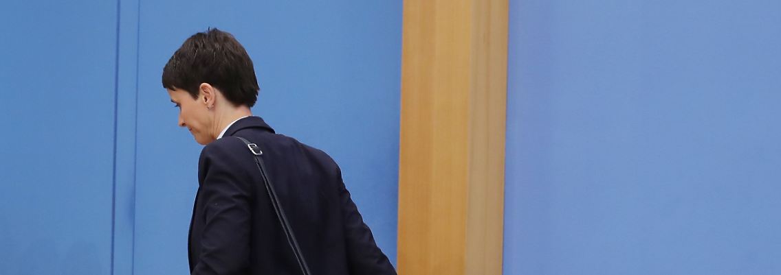 Petry geht - andere folgen.