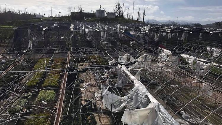 "Maria" hinterließ schwere Verwüstungen auf Puerto Rico.