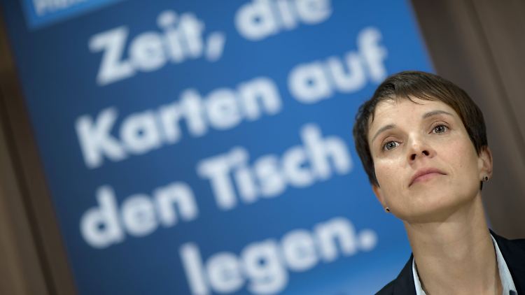 Legt Petry die Karten auf den Tisch?