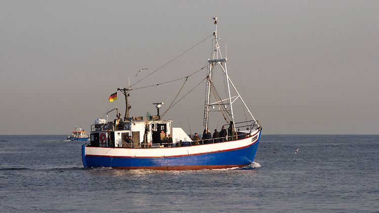 Fast jeder zehnte Urlauber angelt während seines Aufenthaltes in Mecklenburg-Vorpommern.