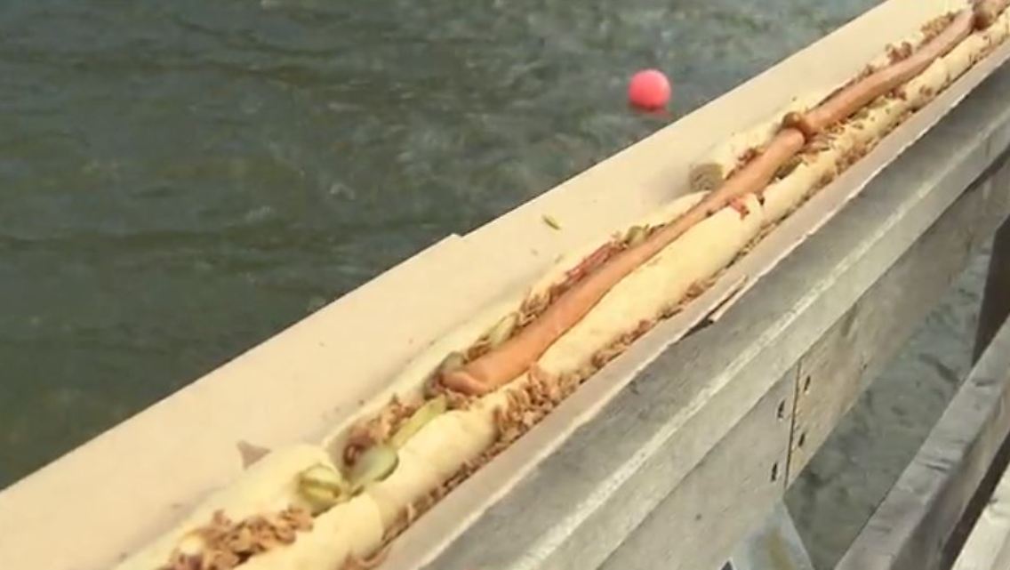 hotdog.JPG